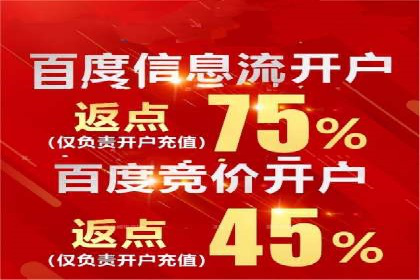 百度推广费用与广告定位精准度的关系案例研究